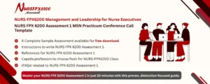 NURS FPX 6200 Assessment 1 MSN Practicum Conference Call Template
