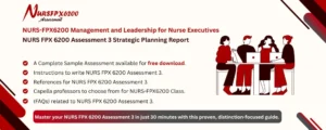 NURS FPX 6200 Assessment 3 Strategic Planning Report