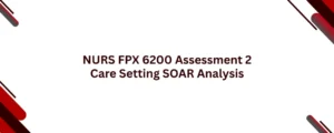 NURS FPX 6200 Assessment 2 Care Setting SOAR Analysis